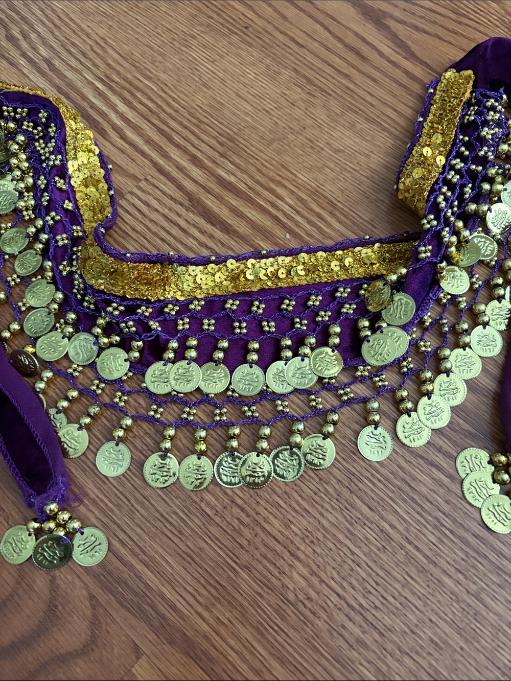 Purple Gold Coin Fringe Hip Scarf Necklace - Belly Dance Accent